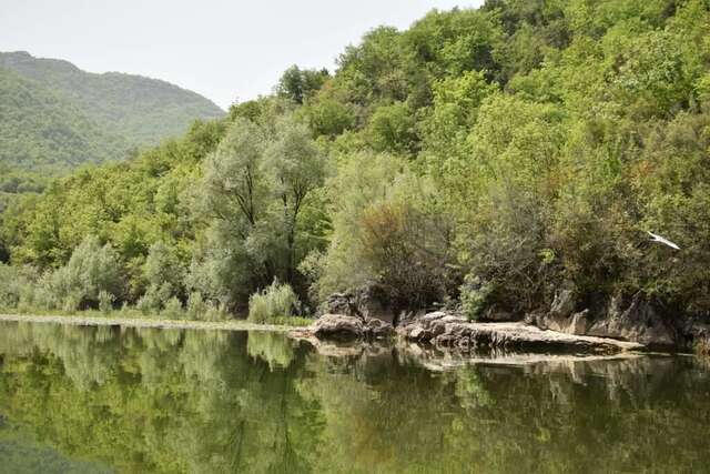 Ботели Dragan Apartment, Rijeka Crnojevića (Lake house) Риека-Црноевича-29